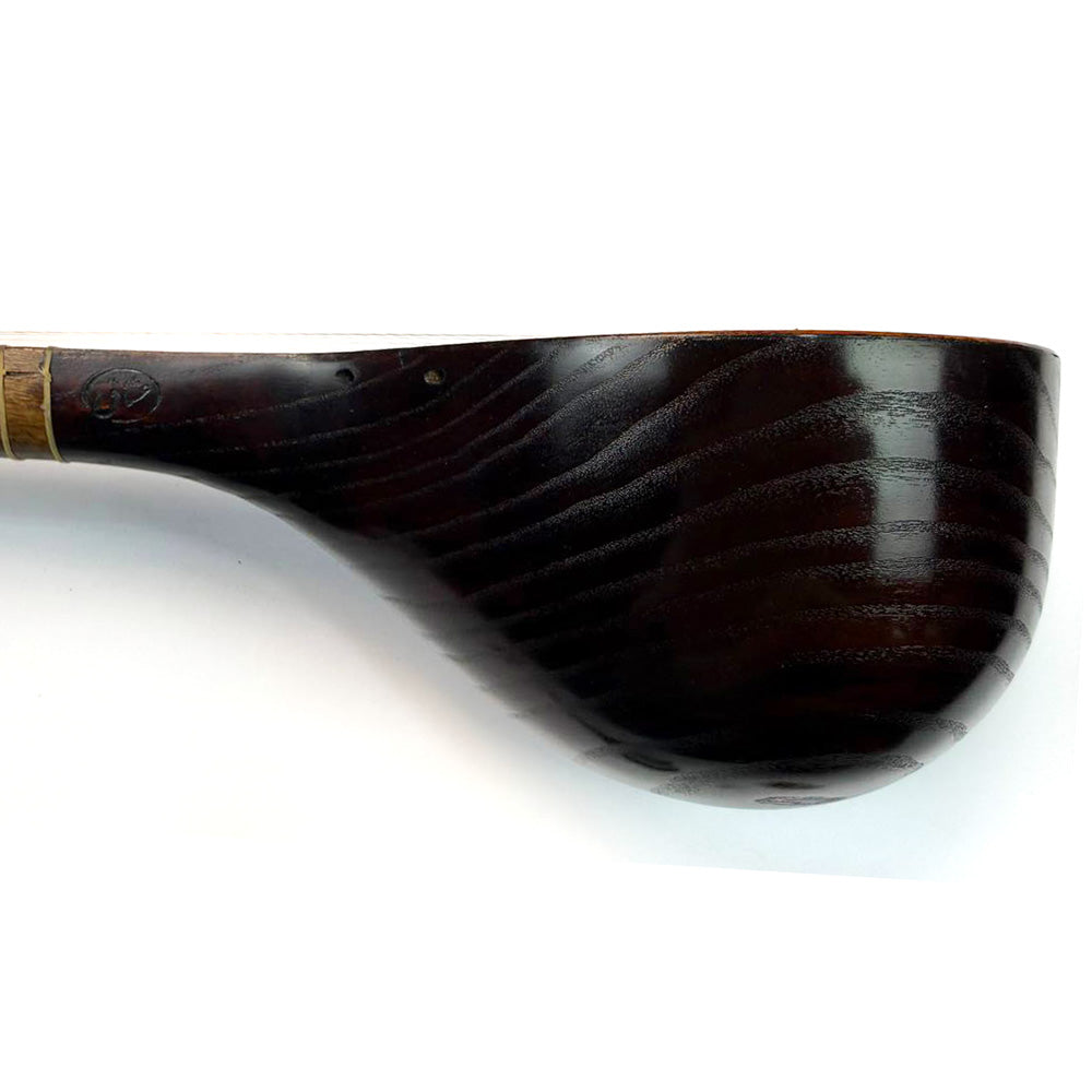 Setar - Made by Oshagh