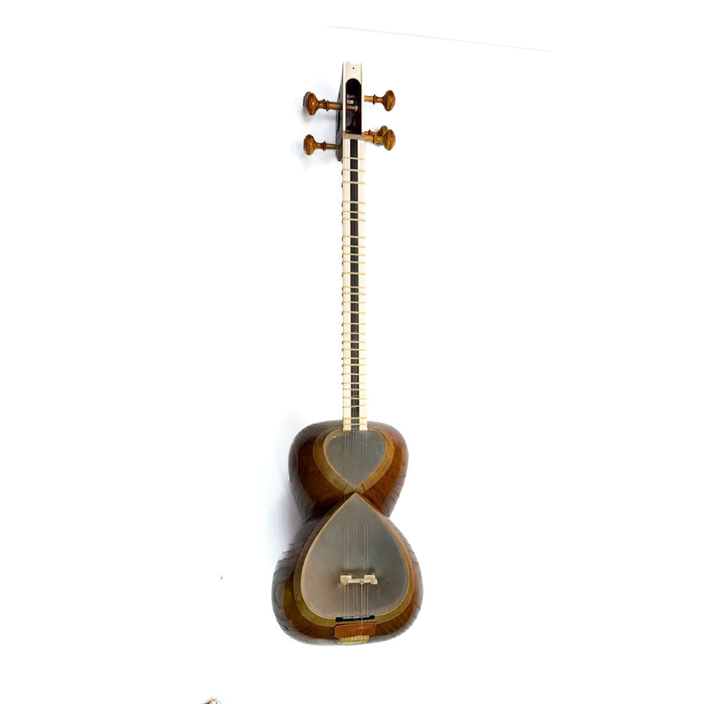 Tar - Professional Persian Instrument - Made by Ali Aliyari