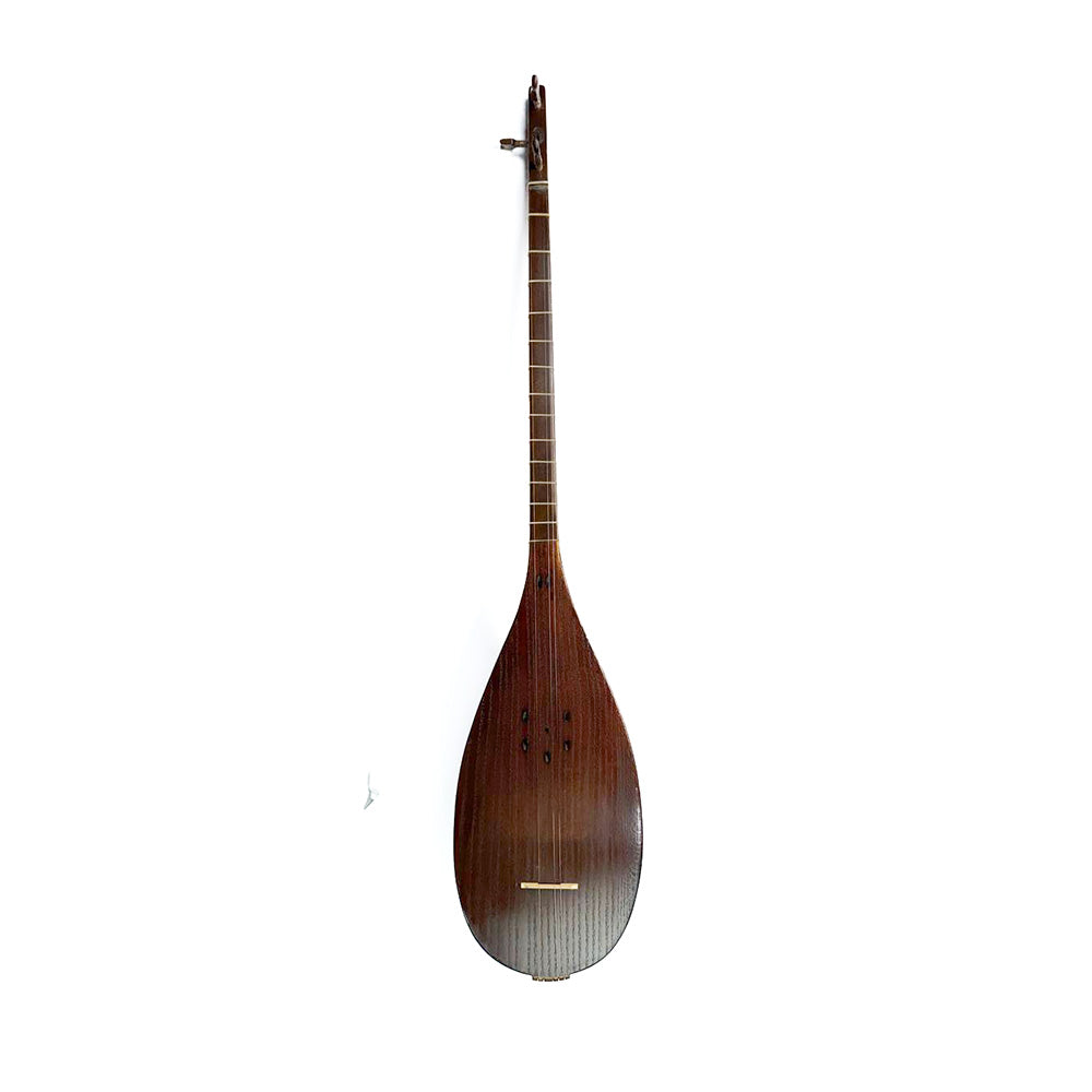 Tanbur - Perisan Instrument Maleki